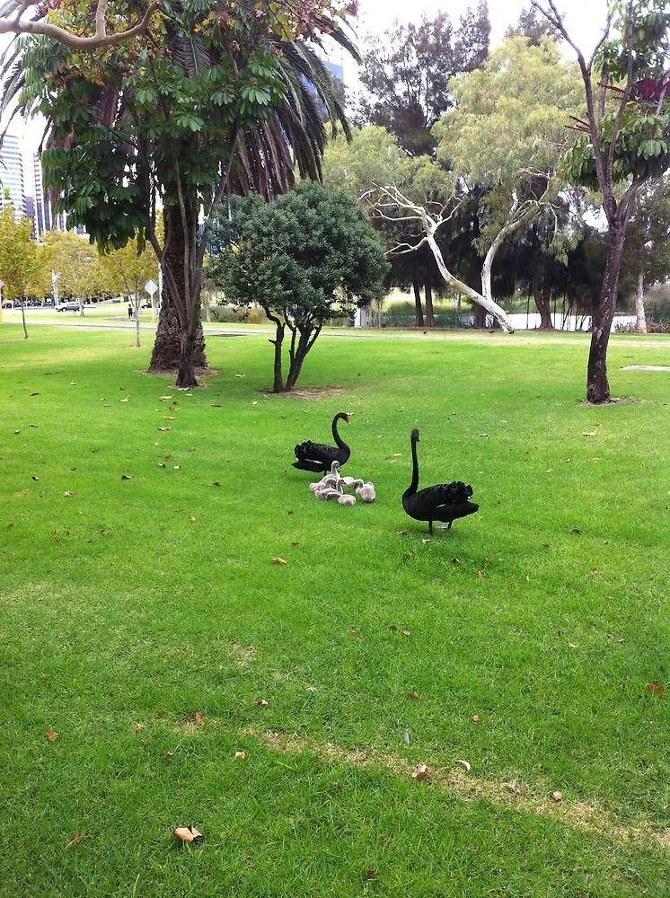 Sullivans Hotel Perth